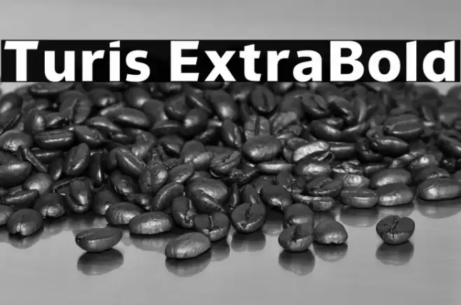 Turis ExtraBold Font examples