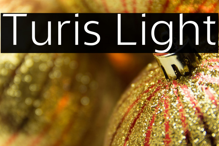 Turis Light Example 2