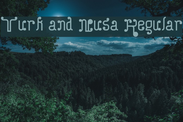 Turk and Nusa Regular Example 1