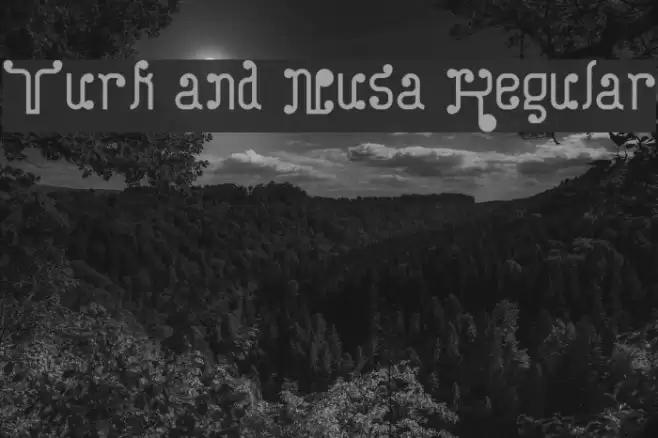 Turk and Nusa Regular Font examples
