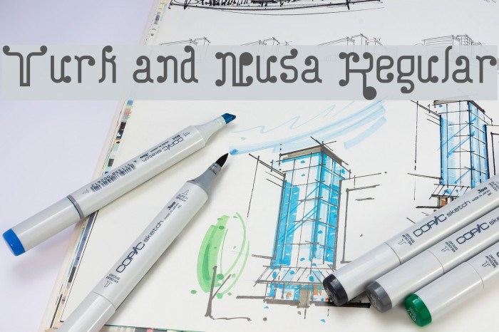 Turk and Nusa Regular Example 2