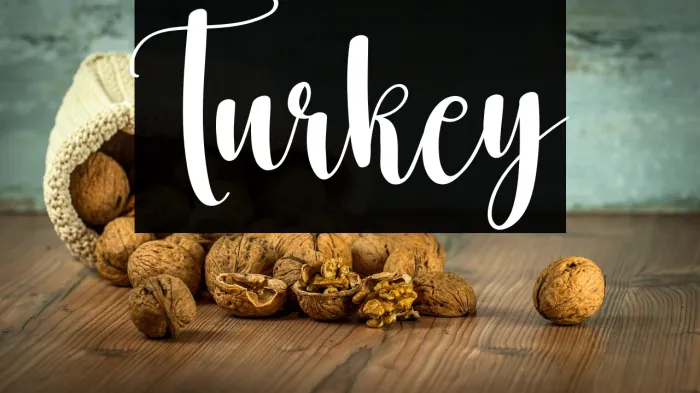 Turkey Example 1
