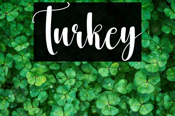 Turkey Example 2