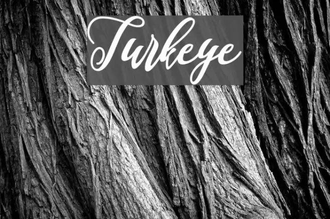 Turkeye Font examples