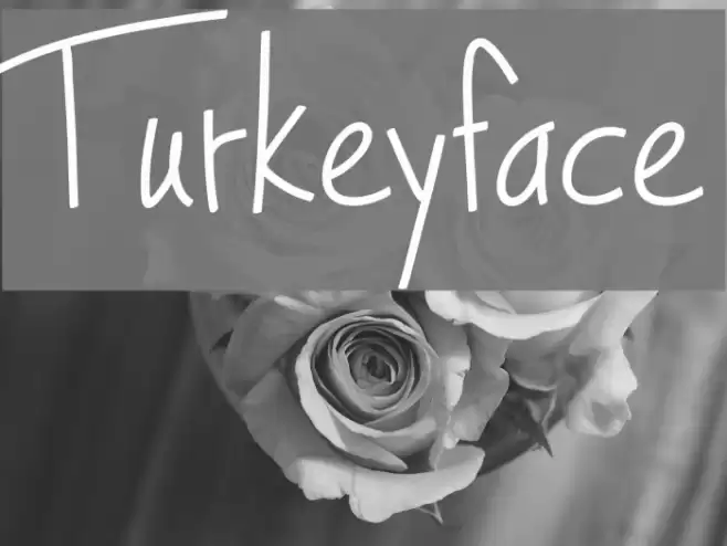 Turkeyface Font examples