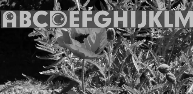 Turkish Participants Font examples