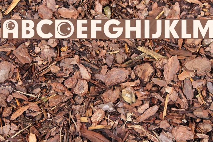 Turkish Participants Font examples