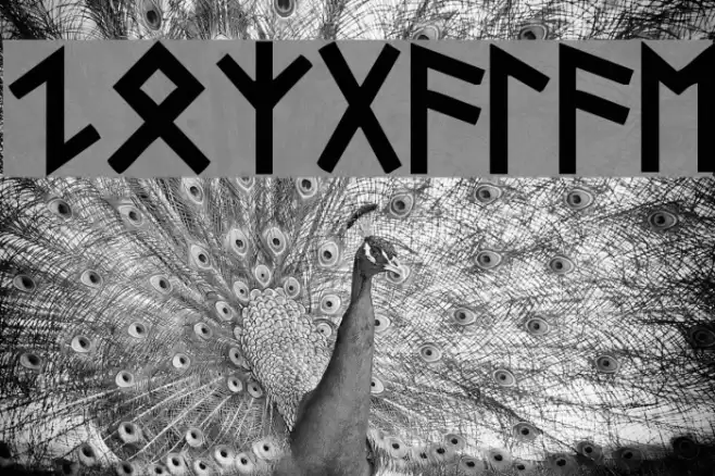 Turkish Font examples