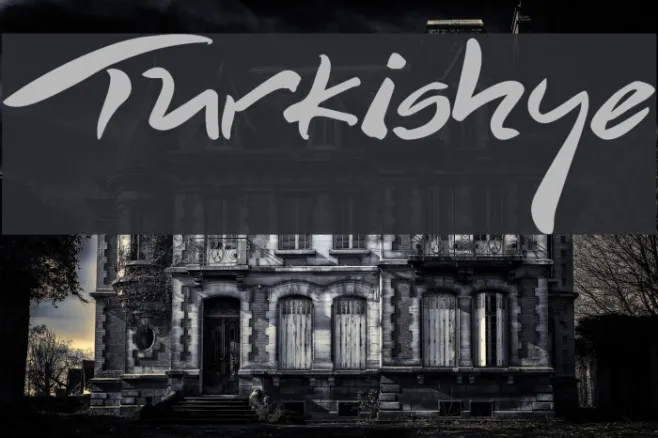 Turkishye Example 2