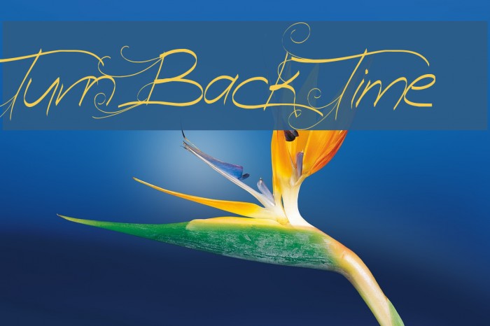 Turn Back Time Font examples