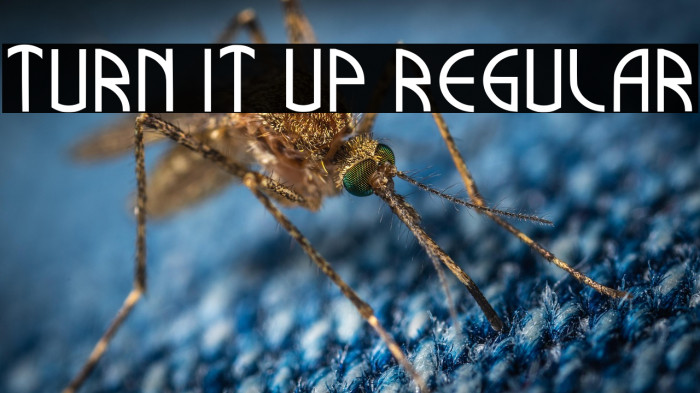 Turn It Up Regular Example 3