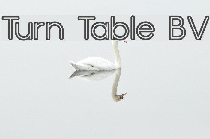 Turn Table BV Font examples