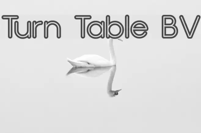 Turn Table BV フォント examples