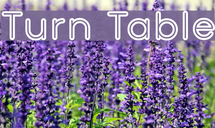Turn Table Font examples