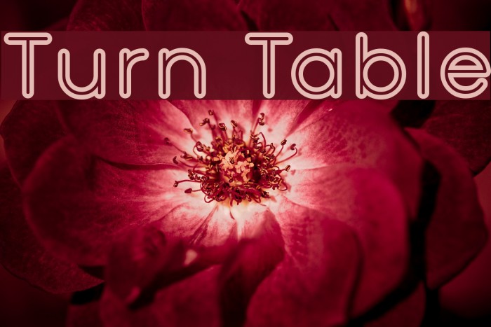 Turn Table Font examples