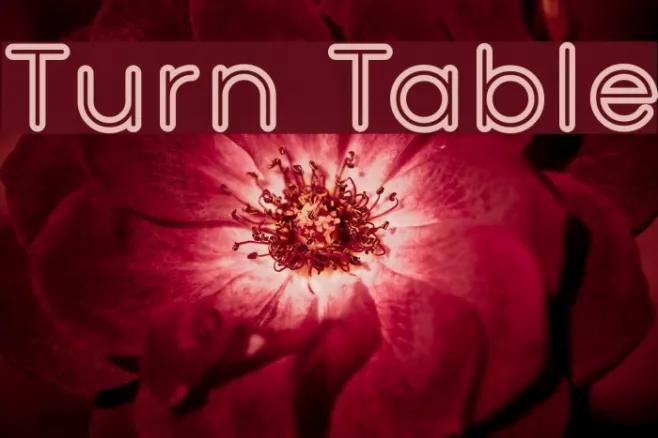 Turn Table Example 3