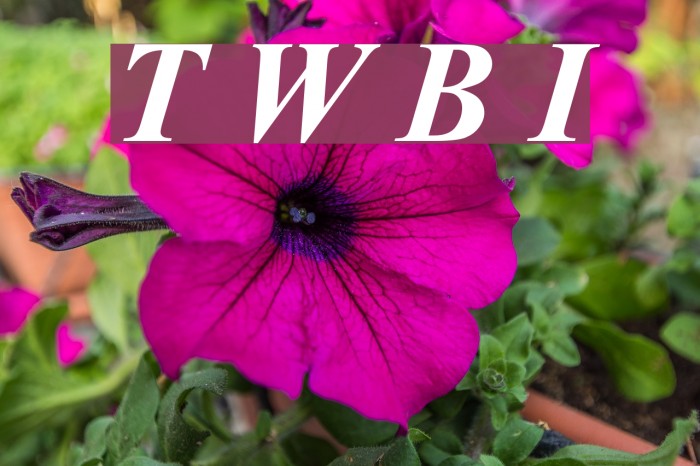 Turn W Bold Italic Font examples