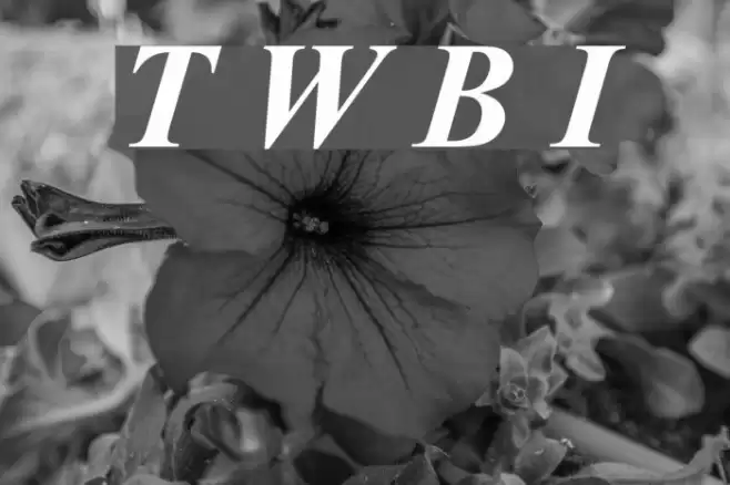 Turn W Bold Italic Font examples