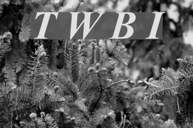 Turn W Bold Italic Font examples