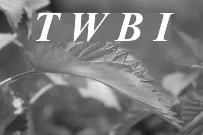 Turn W Bold Italic Font examples