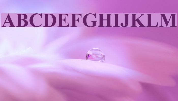Turn W Bold Font examples