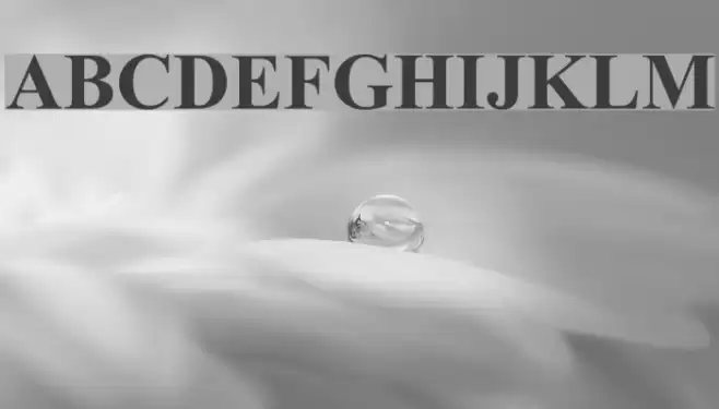 Turn W Bold  examples