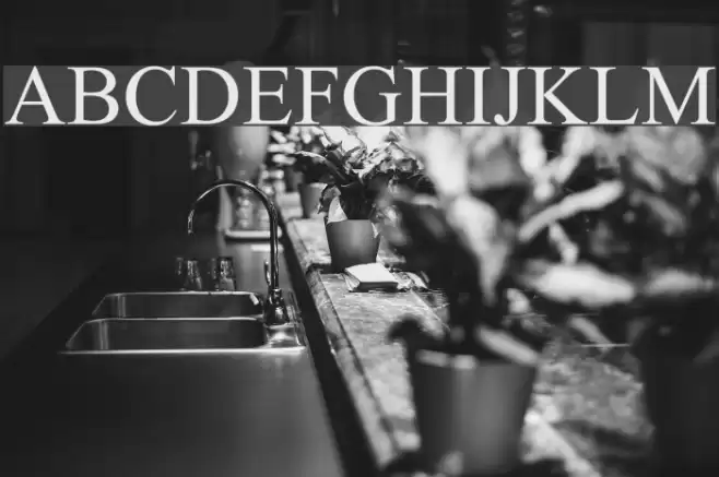 Turn W Font examples