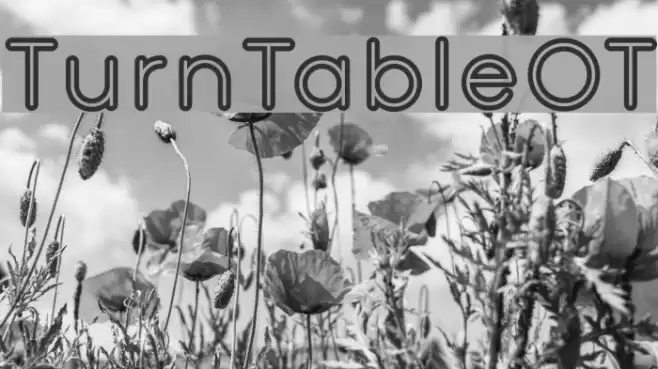 TurnTableOT Font examples