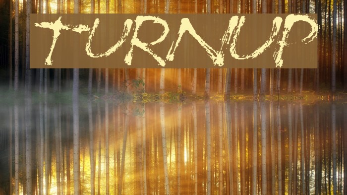 TurnUp Font examples