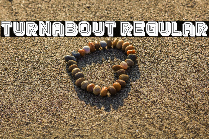 Turnabout Regular Example 2