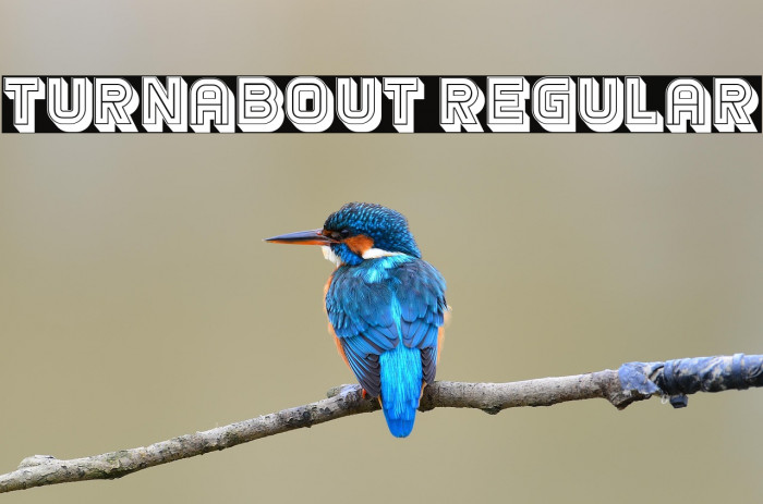 Turnabout Regular Example 3