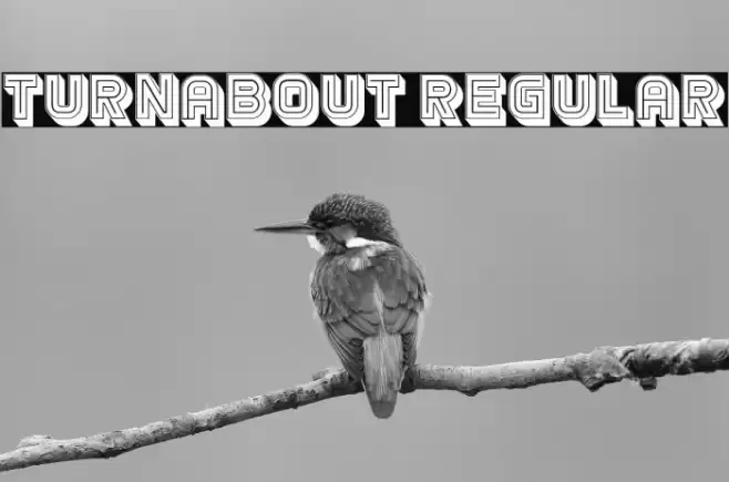 Turnabout Regular Font examples