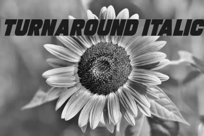 Turnaround Italic Font examples