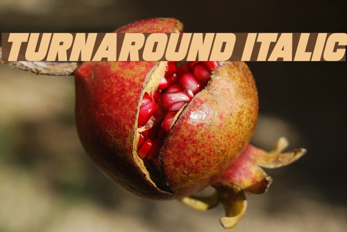 Turnaround Italic Font examples