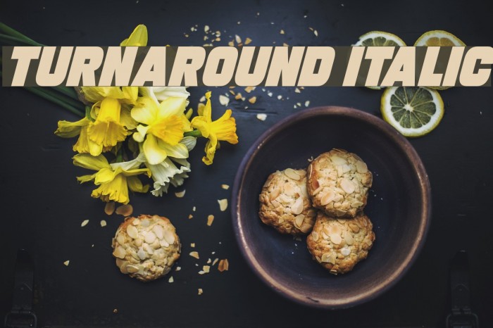 Turnaround Italic Font examples