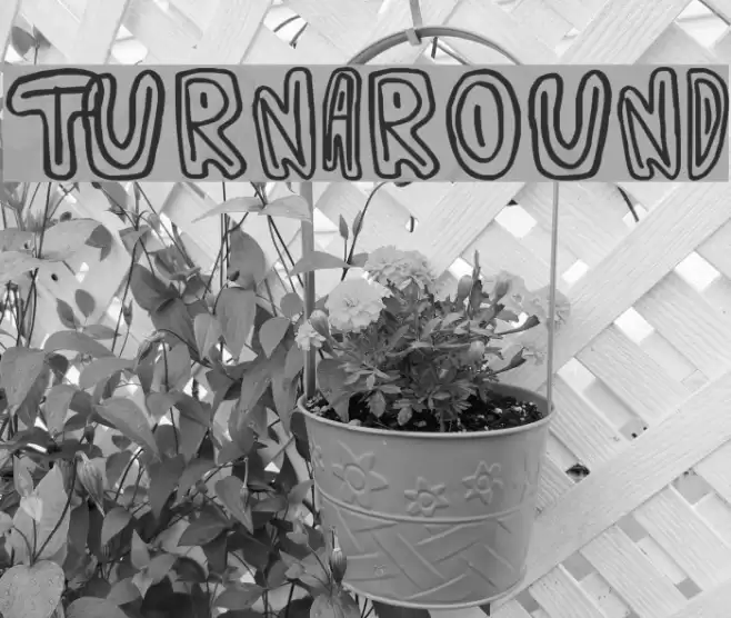 Turnaround Font examples