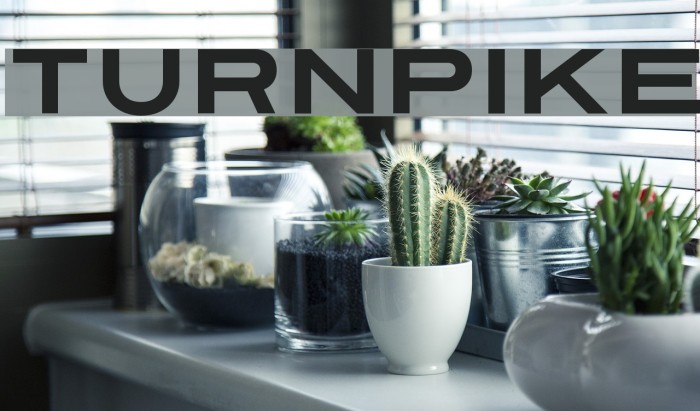 Turnpike Fonte examples