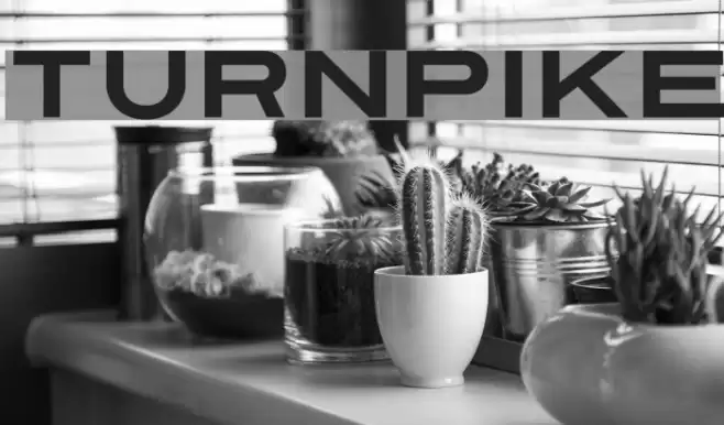 Turnpike Font examples