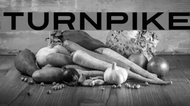 Turnpike Font examples