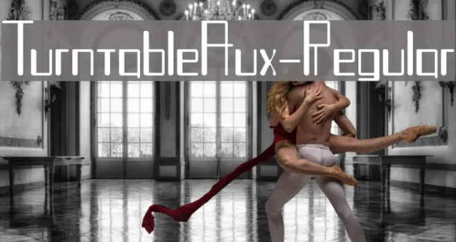 TurntableAux-Regular Example 2