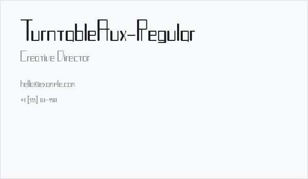 TurntableAux-Regular Business Card