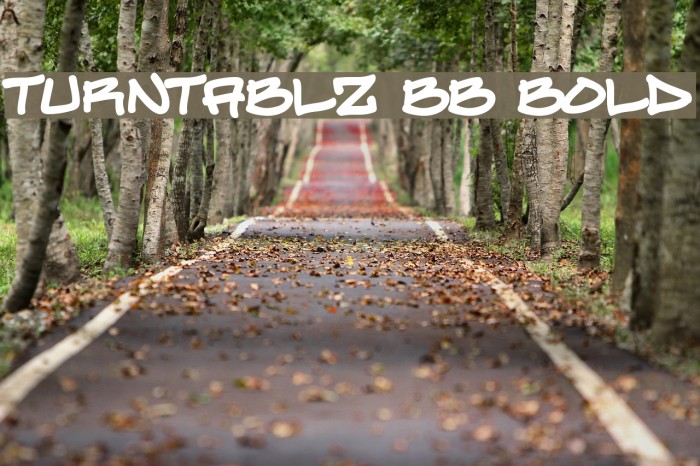 Turntablz BB Bold Example 1