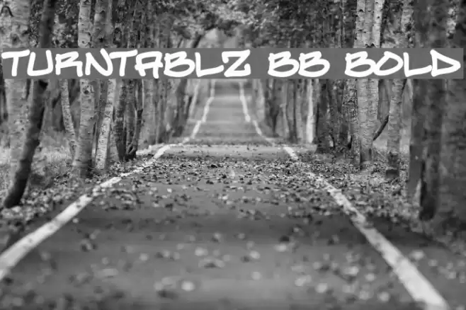 Turntablz BB Bold Font examples