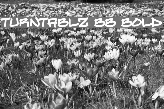 Turntablz BB Bold Font examples