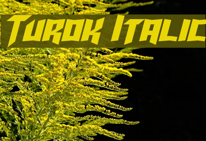 Turok Italic Example 3