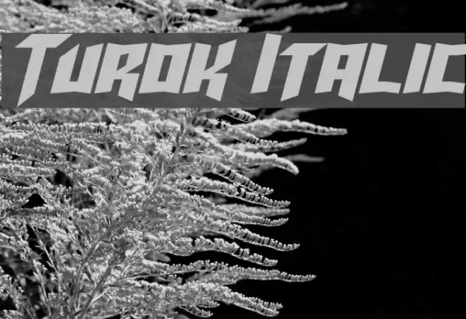 Turok Italic Font examples
