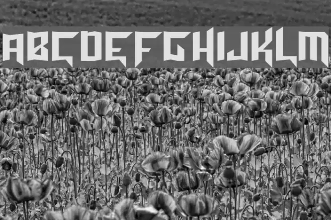 Turok Normal Font examples