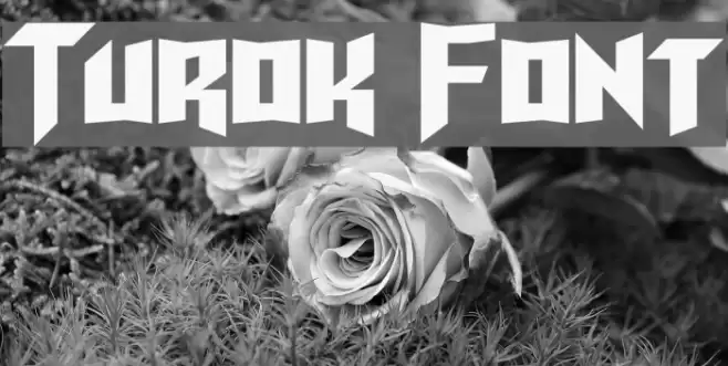 Turok Font examples