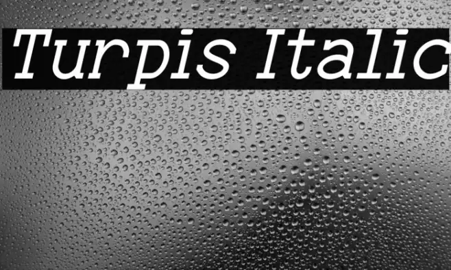 Turpis Italic Font examples