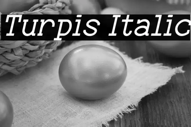 Turpis Italic Font examples